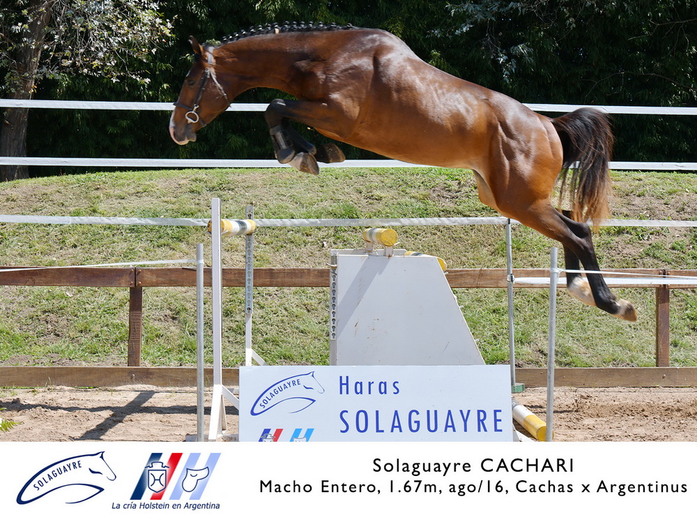 SOLAGUAYRE CACHARI